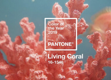 Living Coral é escolhida a Cor do Ano pela Pantone